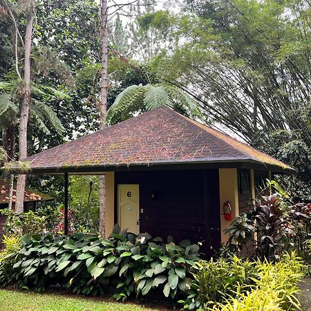 Davao City Eden Nature Park And Resort מראה חיצוני תמונה