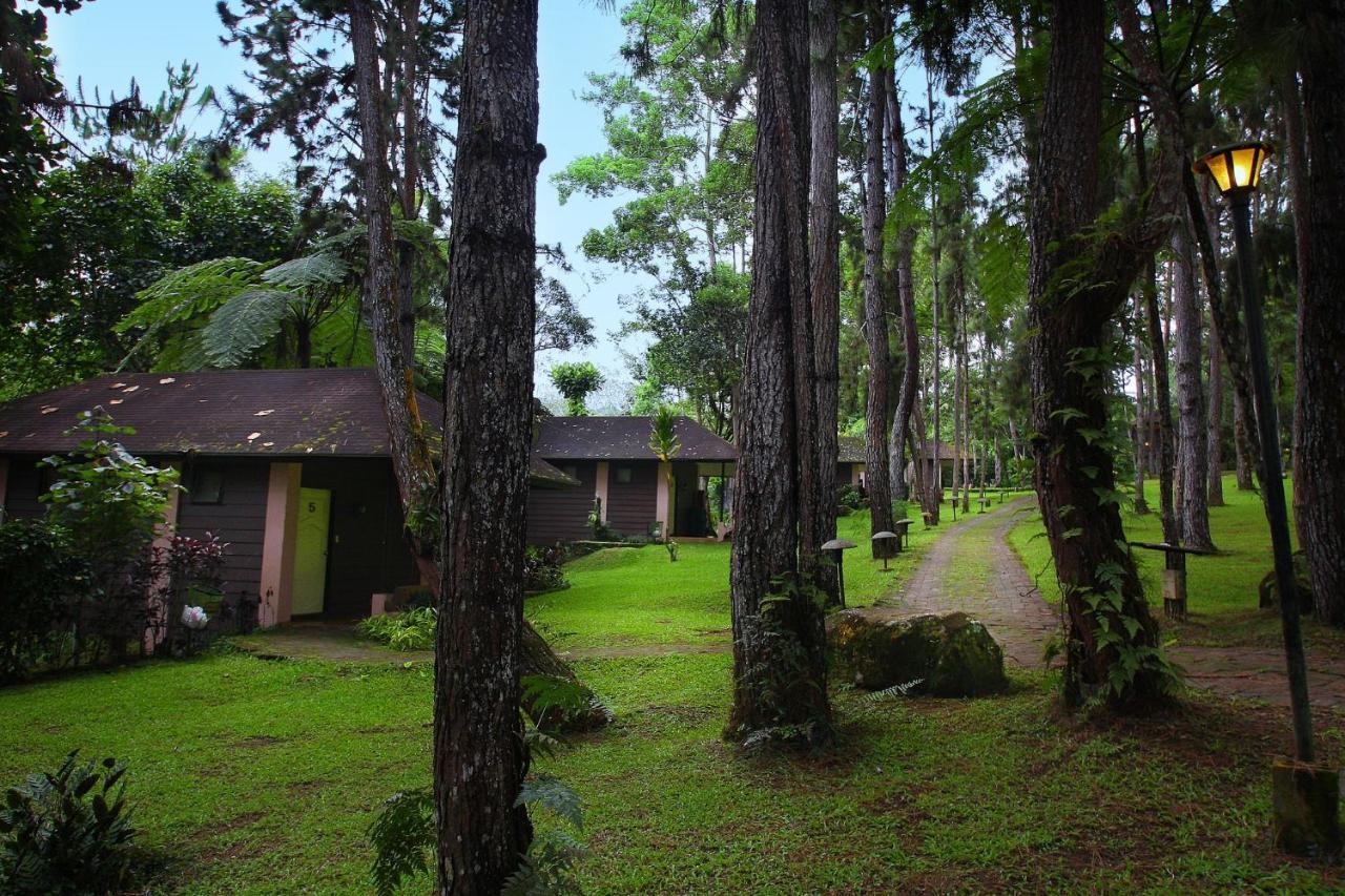 Davao City Eden Nature Park And Resort מראה חיצוני תמונה